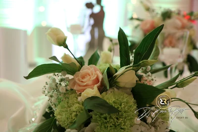 Hochzeit | Hotel Ripken | DJ René de Rot | Bild 8 von 34