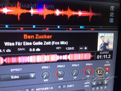 Hochzeit | Hotel Ripken | DJ René de Rot | Bild 21 von 34