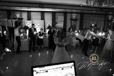 Hochzeit | Hotel Ripken | DJ René de Rot | Bild 27 von 28
