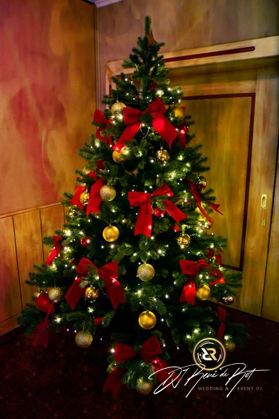 Weihnachtsfeier | Wardenburger Hof | DJ René de Rot | Bild 7 von 9